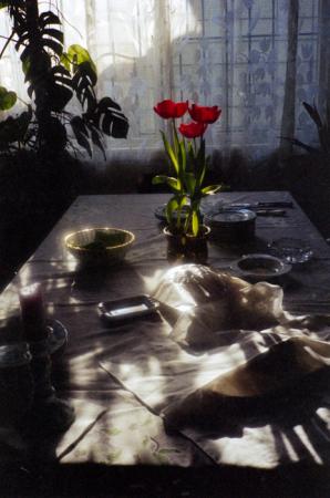 minerva_deak_f_c6_s1_276_regi_teraszunk_saja_klara_1989-005