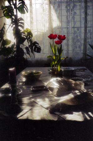 minerva_deak_f_c6_s1_276_regi_teraszunk_saja_klara_1989-006