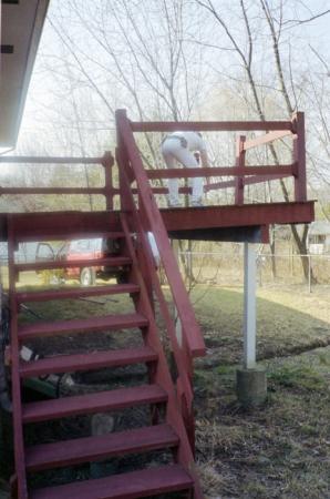 minerva_deak_f_c6_s1_276_regi_teraszunk_saja_klara_1989-017