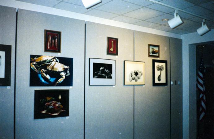 minerva_deak_f_c6_s1_277_kiallitas_spring_walley-009