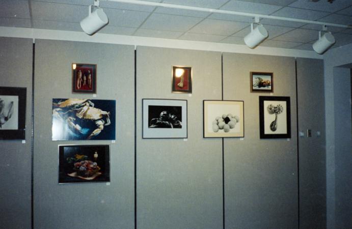 minerva_deak_f_c6_s1_277_kiallitas_spring_walley-014