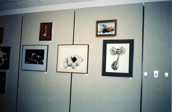 minerva_deak_f_c6_s1_277_kiallitas_spring_walley-039