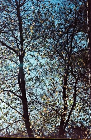 minerva_deak_f_c6_s3_color_323-037