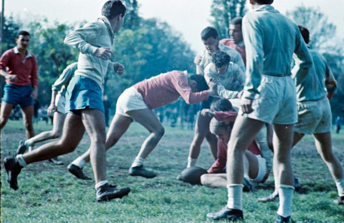 minerva_deak_f_c6_s3_color_323-052