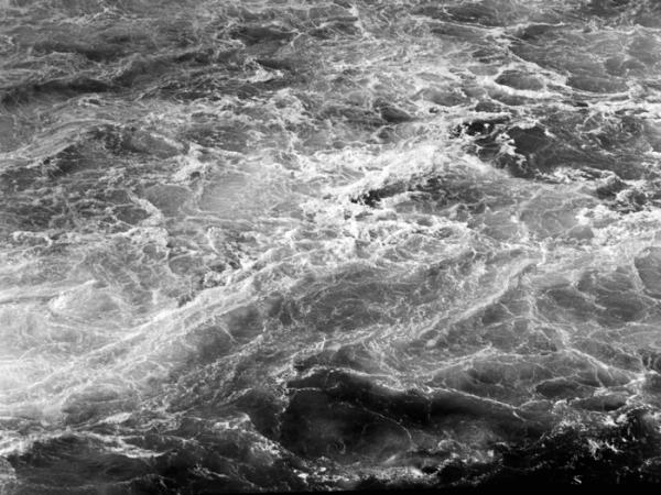 minerva_deak_f_c8_s1_767_1995_-17_toronto-049