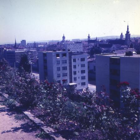 minerva_dn_1968_263_reproduceri_015