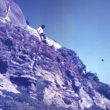 minerva_dn_1968_263_reproduceri_017