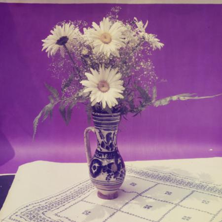 minerva_dn_1969_360_zarzavaturi_fructe_004