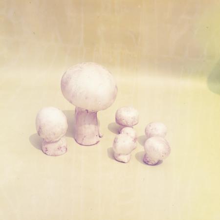 minerva_dn_1969_360_zarzavaturi_fructe_008