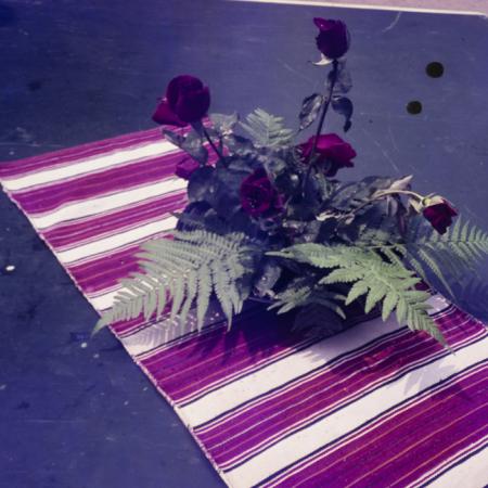 minerva_dn_1969_360_zarzavaturi_fructe_021