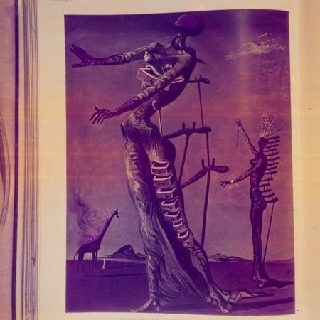 minerva_dn_1970_404_reproduceri_009