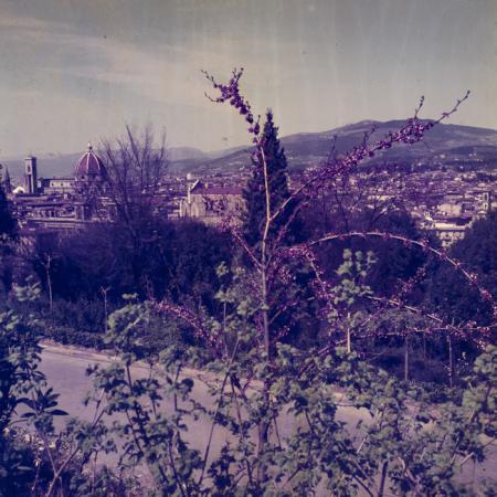 minerva_dn_1970_413_florenta_006