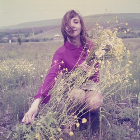 minerva_dn_1970_423_flori_rodica_trandafiri_008