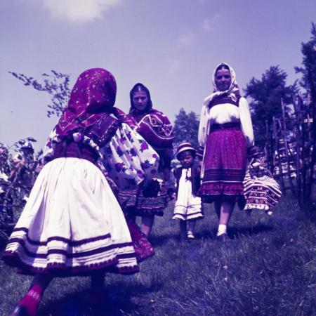 minerva_dn_1971_480_samba_oilor_011