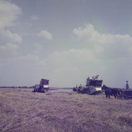 minerva_dn_1971_507_agricultura_rebreanu_nora_004