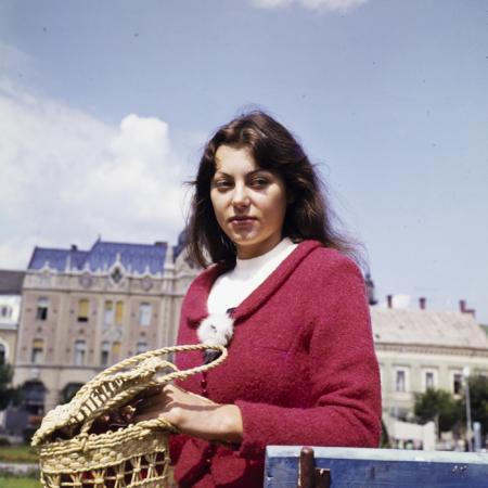 minerva_dn_1972_576_satu_mare_aspecte_oras_kocsmai_ilona_camin_de_copii_016