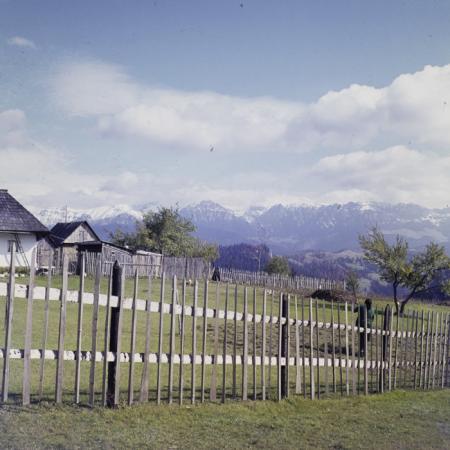 minerva_dn_1972_584_rucar_bran_pitesti_003