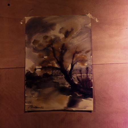 minerva_dn_1972_590_reproduceri_arta_plastica_012