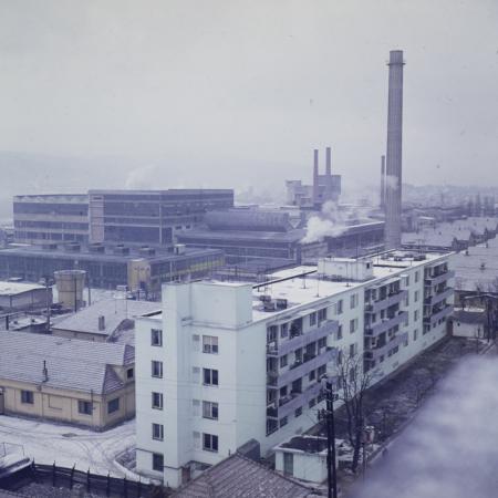 minerva_dn_1972_599_medias_oras_vitrometan_015