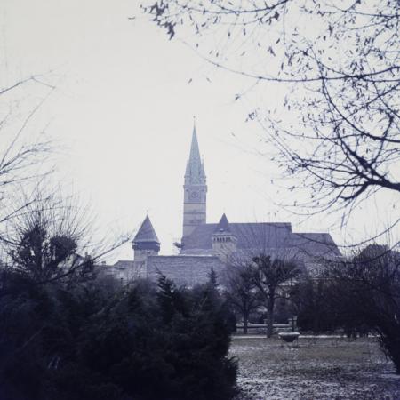 minerva_dn_1972_599_medias_oras_vitrometan_019