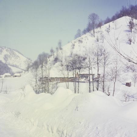 minerva_dn_1973_247_631_baisoara_schi_025