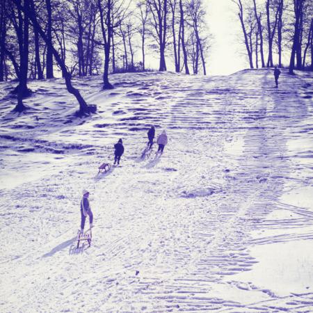 minerva_dn_1973_247_631_baisoara_schi_026