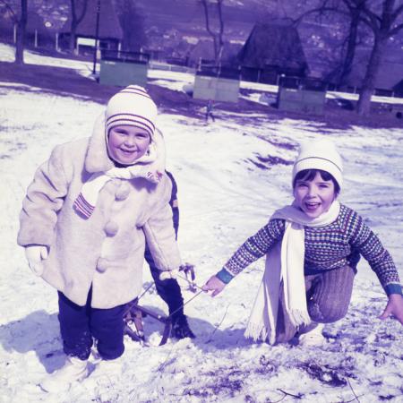 minerva_dn_1973_247_631_baisoara_schi_030