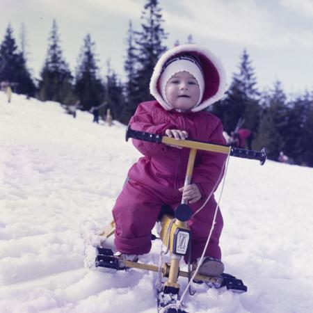 minerva_dn_1973_247_631_baisoara_schi_031