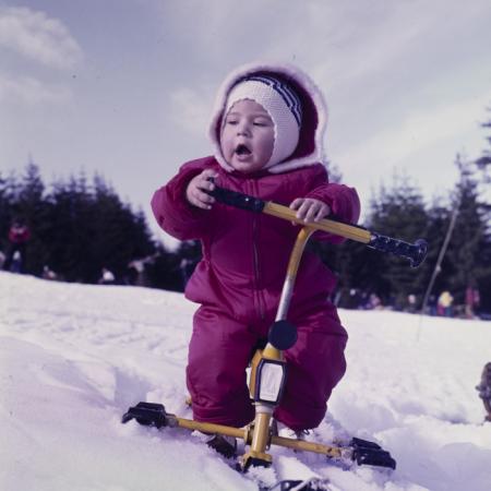 minerva_dn_1973_247_631_baisoara_schi_033