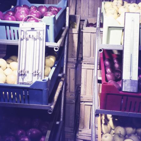 minerva_dn_1973_613_bistrita_i_l_f_001