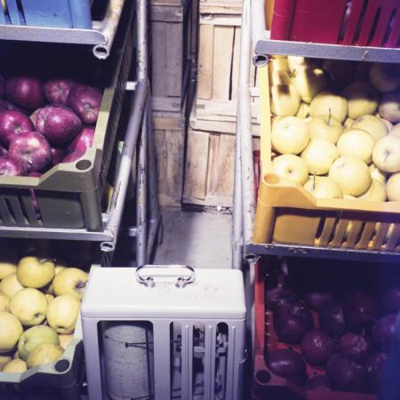 minerva_dn_1973_613_bistrita_i_l_f_002