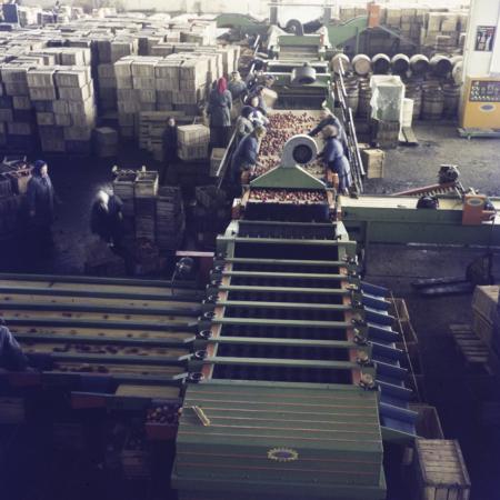 minerva_dn_1973_613_bistrita_i_l_f_003