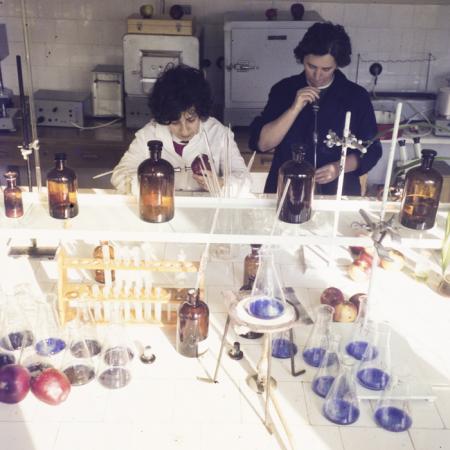 minerva_dn_1973_613_bistrita_i_l_f_009