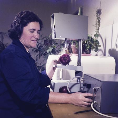 minerva_dn_1973_613_bistrita_i_l_f_011