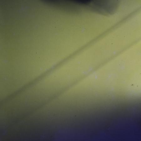 minerva_dn_1973_613_bistrita_i_l_f_013