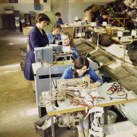 minerva_dn_1973_614_brigada_tinere_clujana_flacara_somesul_cluj_033-2