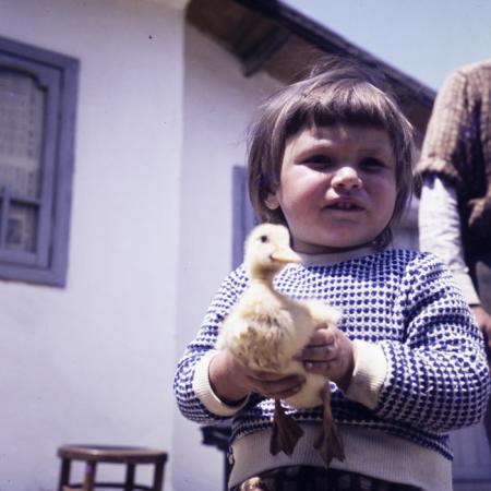 minerva_dn_1973_654_delta_lacul_murighiol_cap_comuna_murighiol_camping_rate_pelicani0006