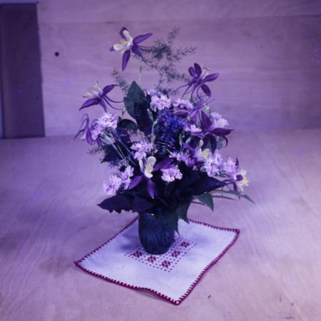 minerva_dn_1973_659_fructe_flori_zarzavaturi_0006