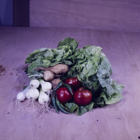 minerva_dn_1973_659_fructe_flori_zarzavaturi_0009