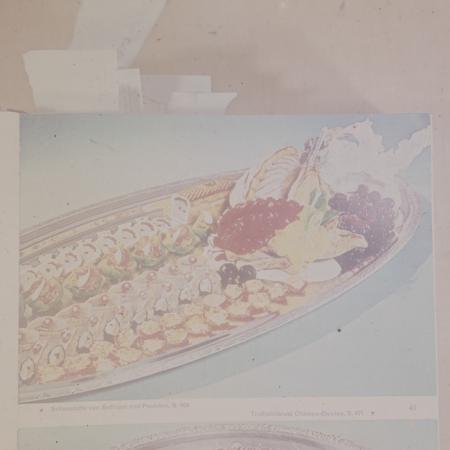 minerva_dn_1973_672_reproduceri_001