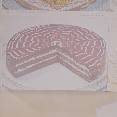 minerva_dn_1973_672_reproduceri_043