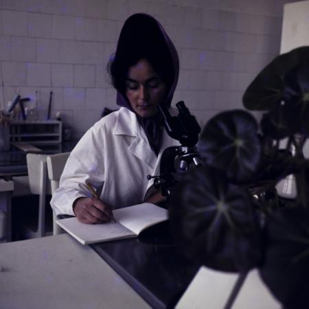 minerva_dn_1973_685_icjl_cluj_009