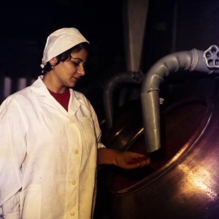 minerva_dn_1973_dn_662_rulmentul_brasov_007