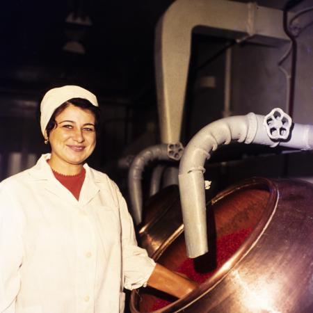 minerva_dn_1973_dn_662_rulmentul_brasov_011