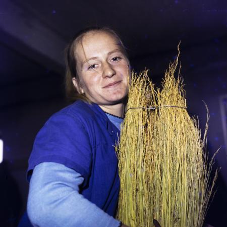 minerva_dn_1974_690_c.a.p_szalonta_008