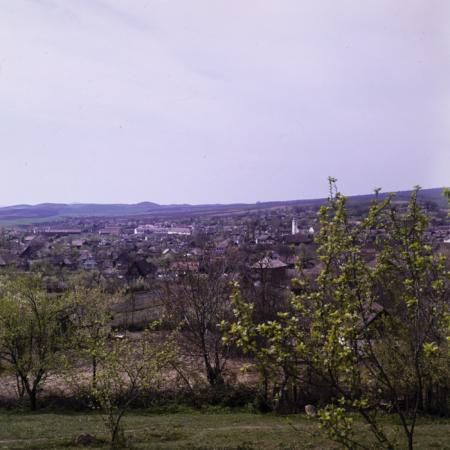 minerva_dn_1977_2225_com_sanmiclaus_jud_alba_005