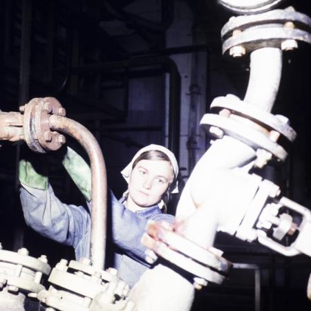 minerva_dn_1977_2245_sinteza_oradea_004