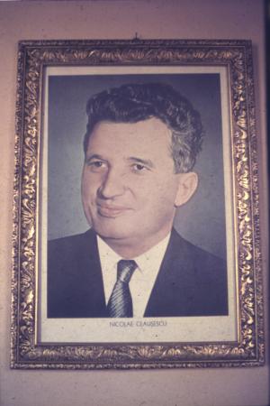 minerva_dn_1977_2253_pictorita_0001