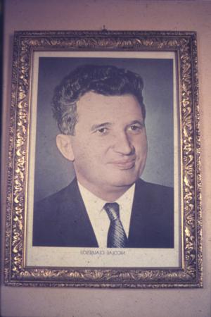 minerva_dn_1977_2253_pictorita_0042