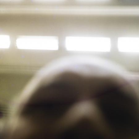 minerva_dn_1977_2289_tricodava_bucuresti_009